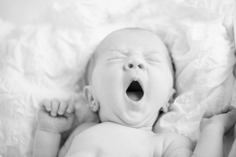 Baby New Born Bebé 13
